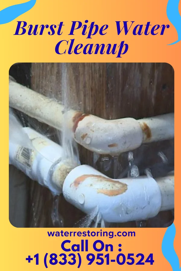 Burst Pipe Water Cleanup in Rock Falls, IA
