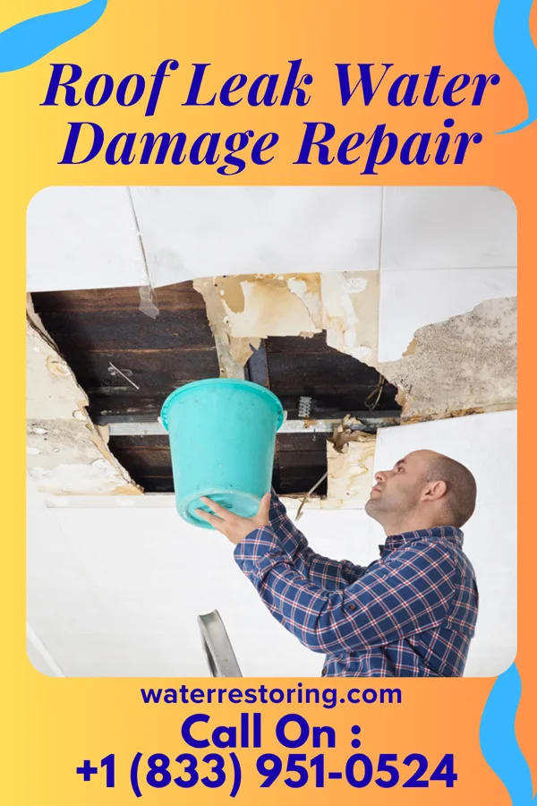 Roof Leak Water Damage Repair in Rock Falls, IA